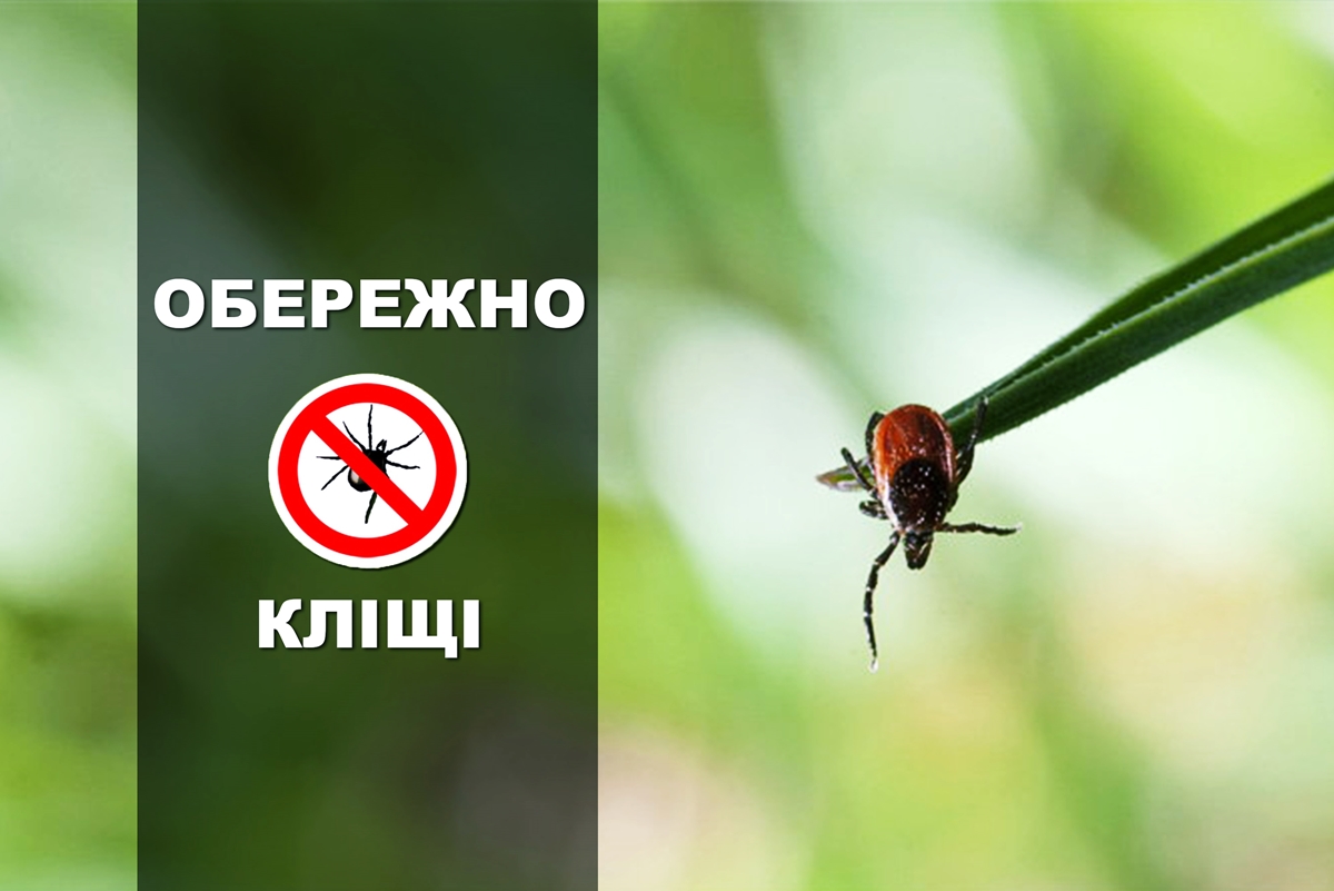 ЯК УБЕРЕГТИСЬ ВІД КЛІЩІВ І НЕ ПІДЧЕПИТИ ІНФЕКЦІЮ